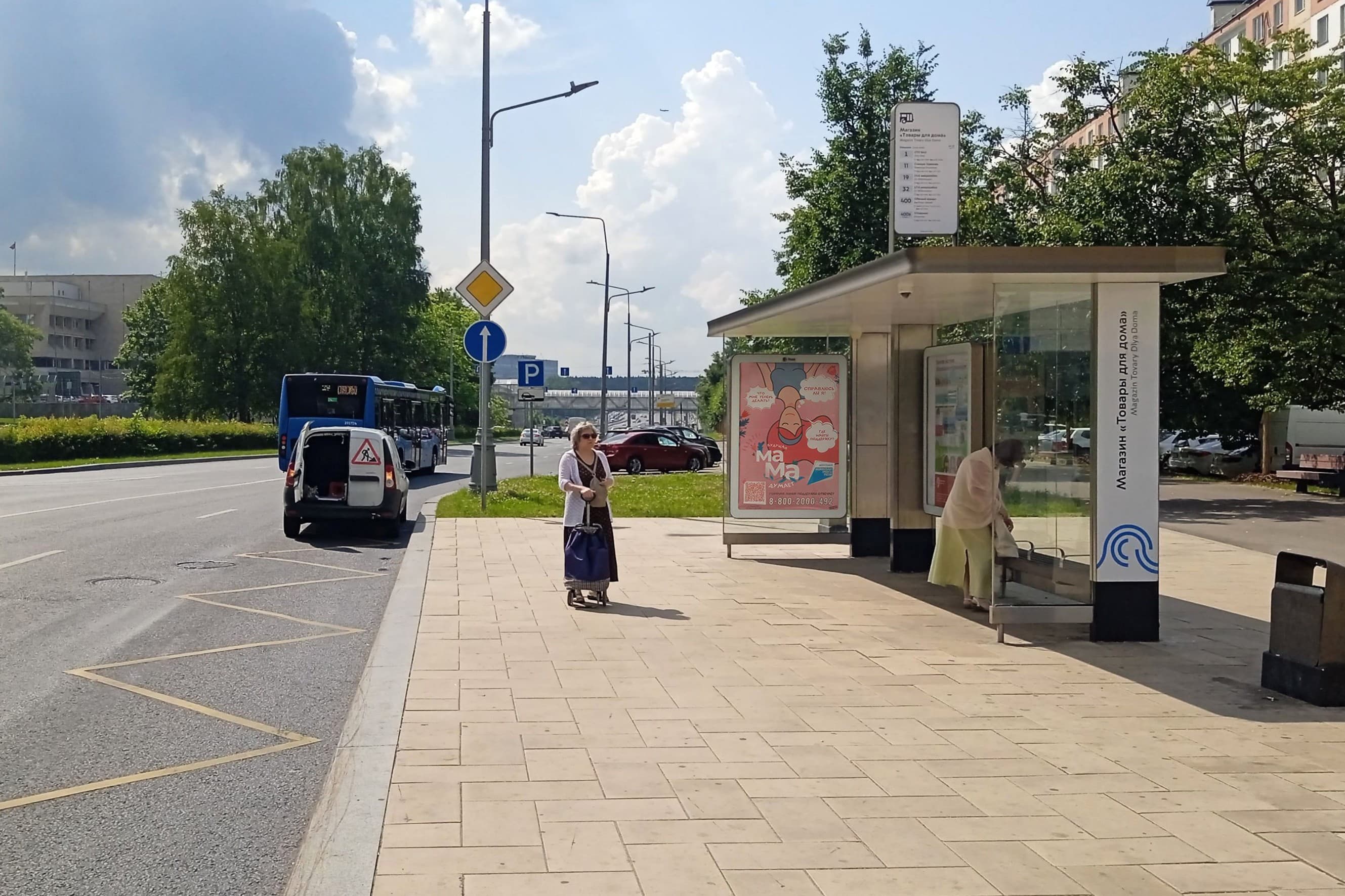 Москва. Центральный пр-т 445 / ост. "М-н "Товары для дома" (в центр), сторона А