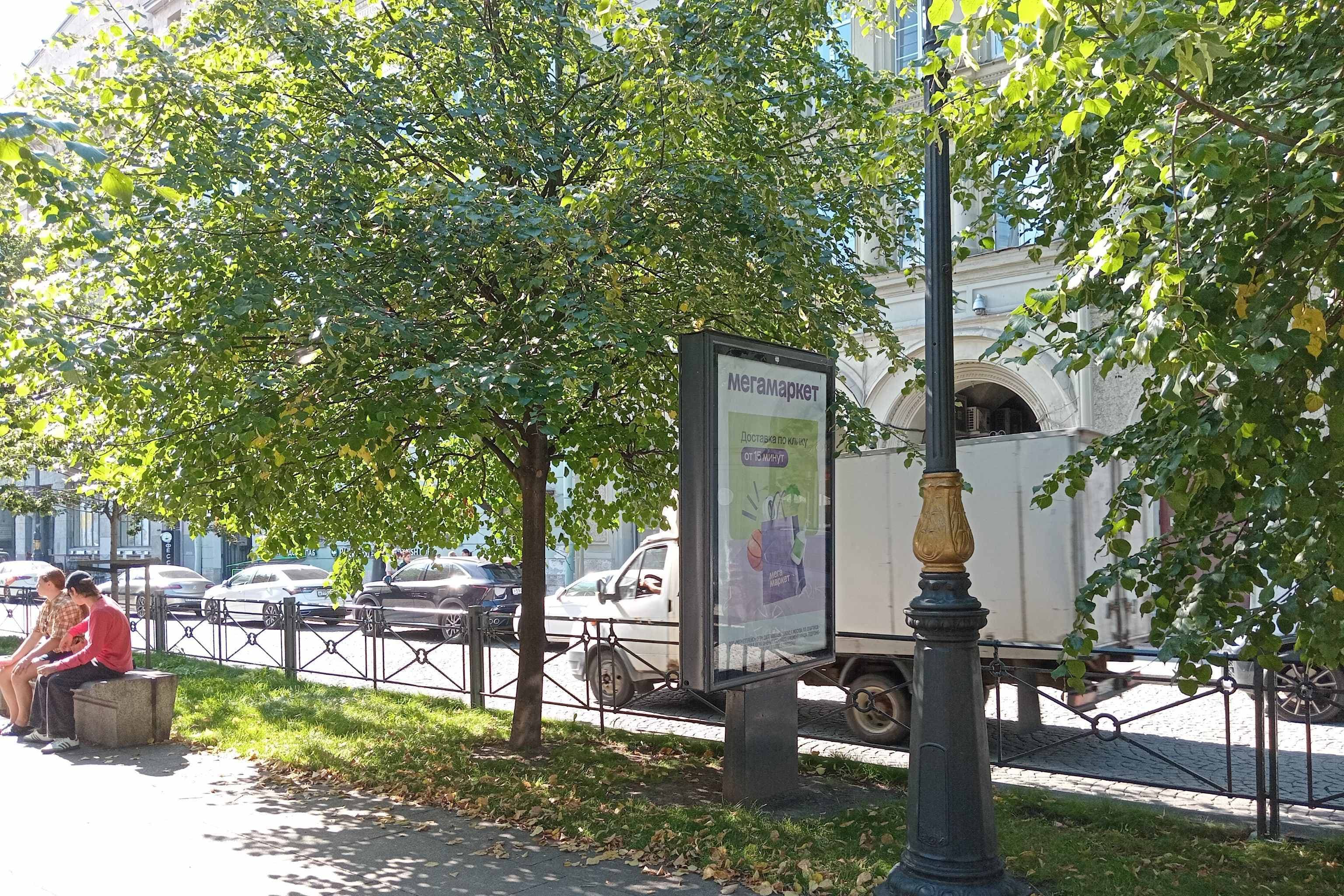 Санкт-Петербург. Большая Конюшенная ул., напр. д. 13, сторона А3