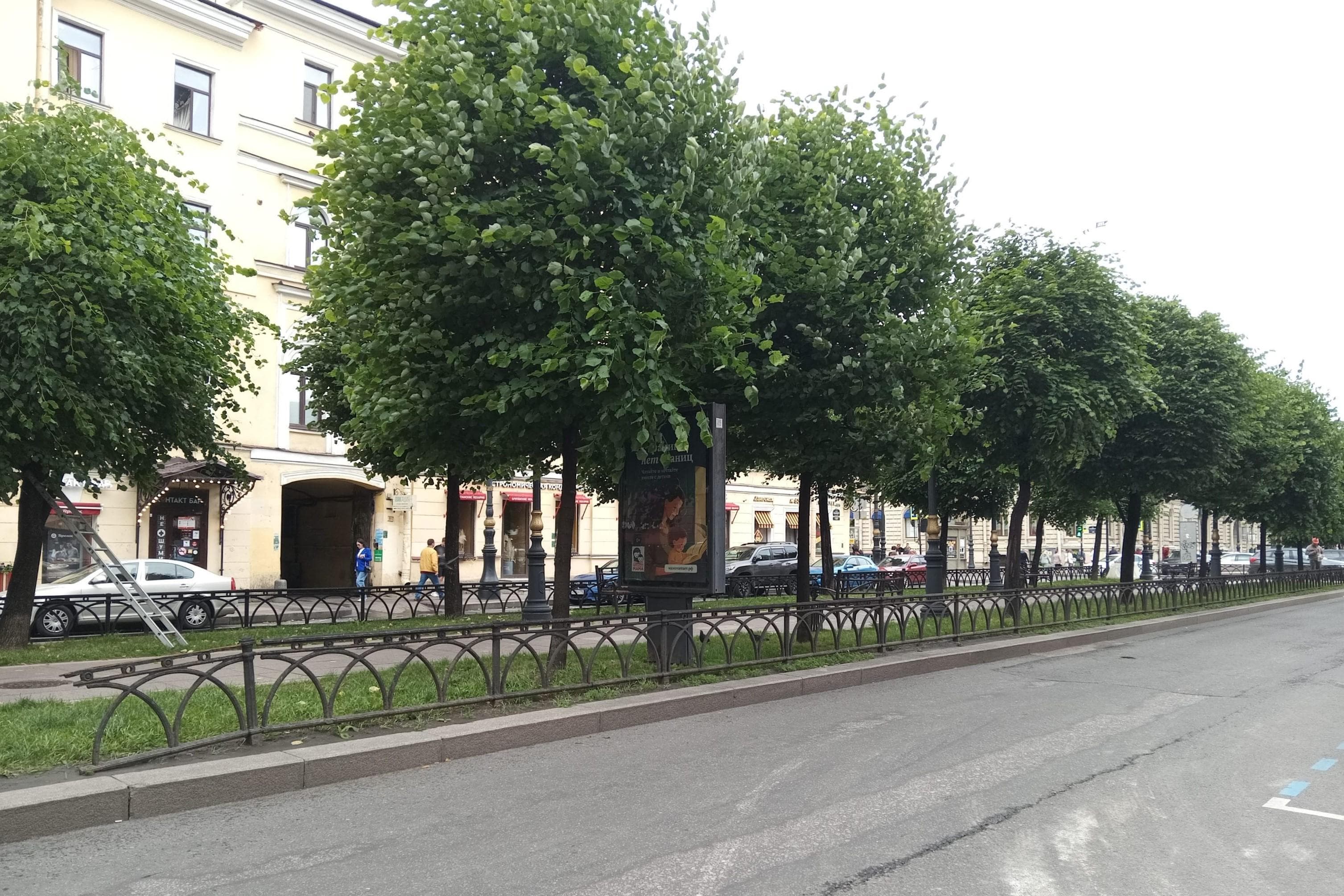 Санкт-Петербург. Чернышевского пр. 14, напротив (обзор ограничен), сторона Б