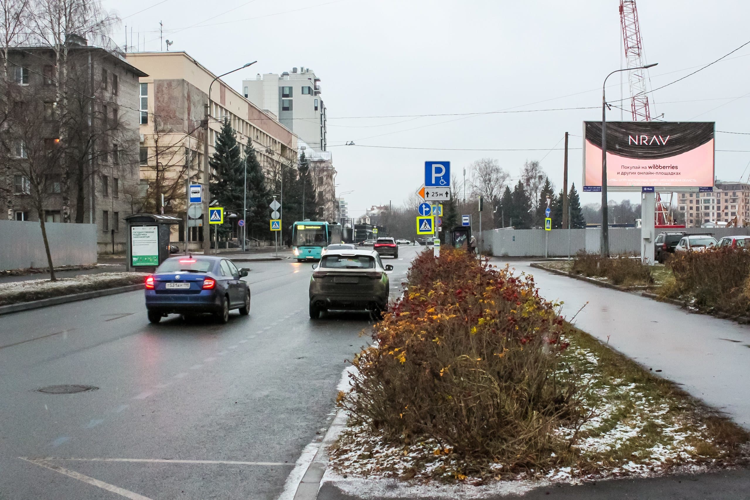 Санкт-Петербург. Профессора Попова ул. 43 / Даля ул., сторона А1