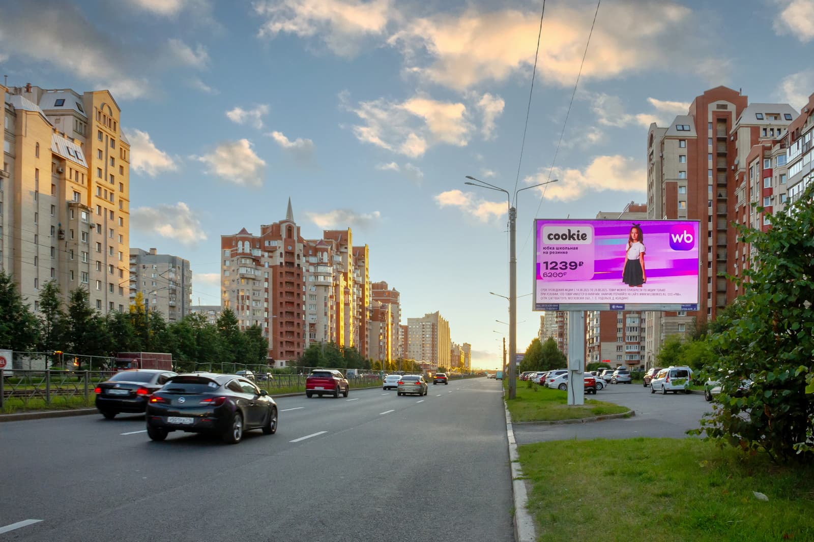 Санкт-Петербург. Савушкина ул. 131, 110 м после Х с ул. Яхтенная, сторона А1