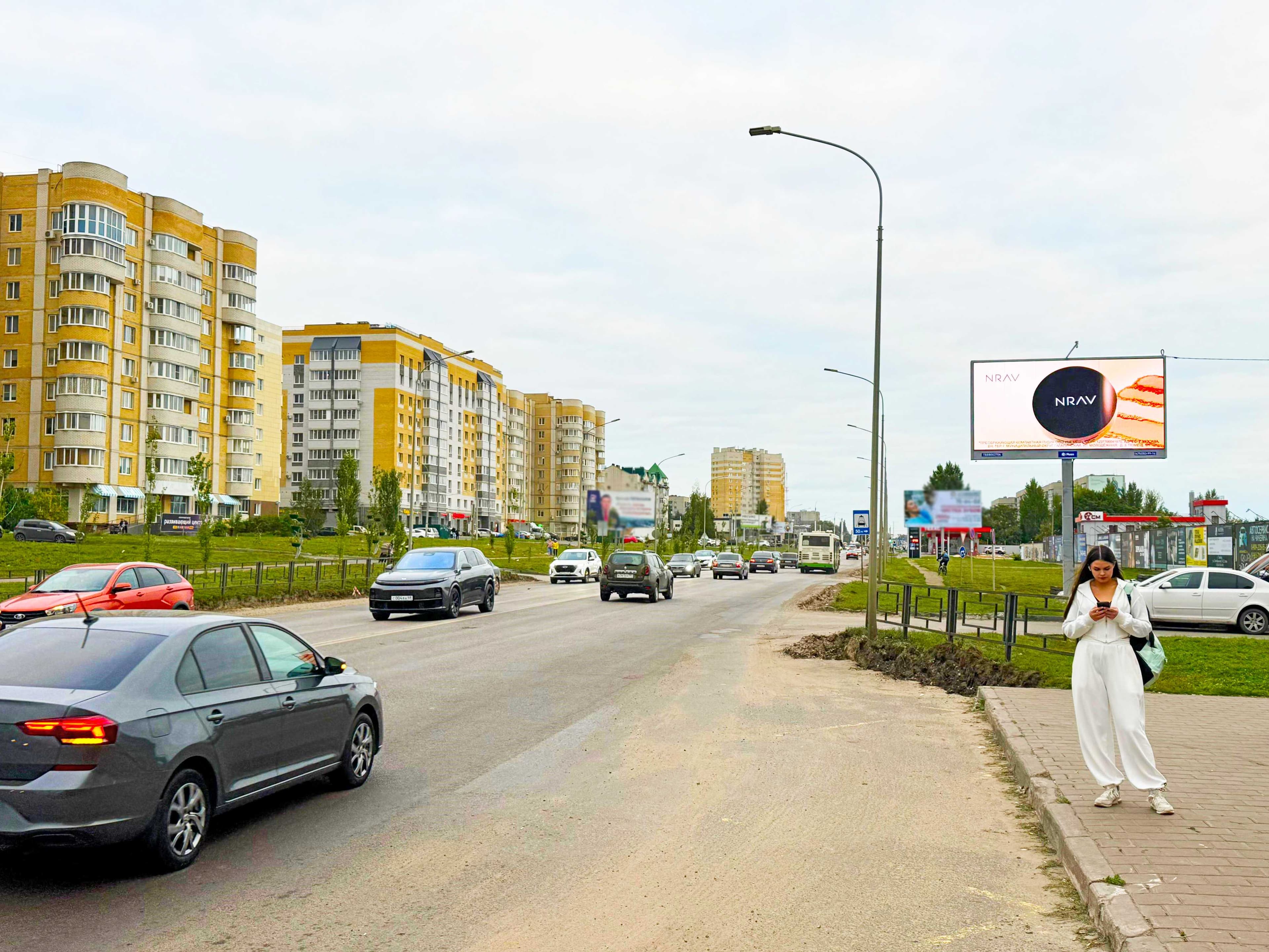 Тамбов. Мичуринская ул. 142к1, (светофор), сторона А1
