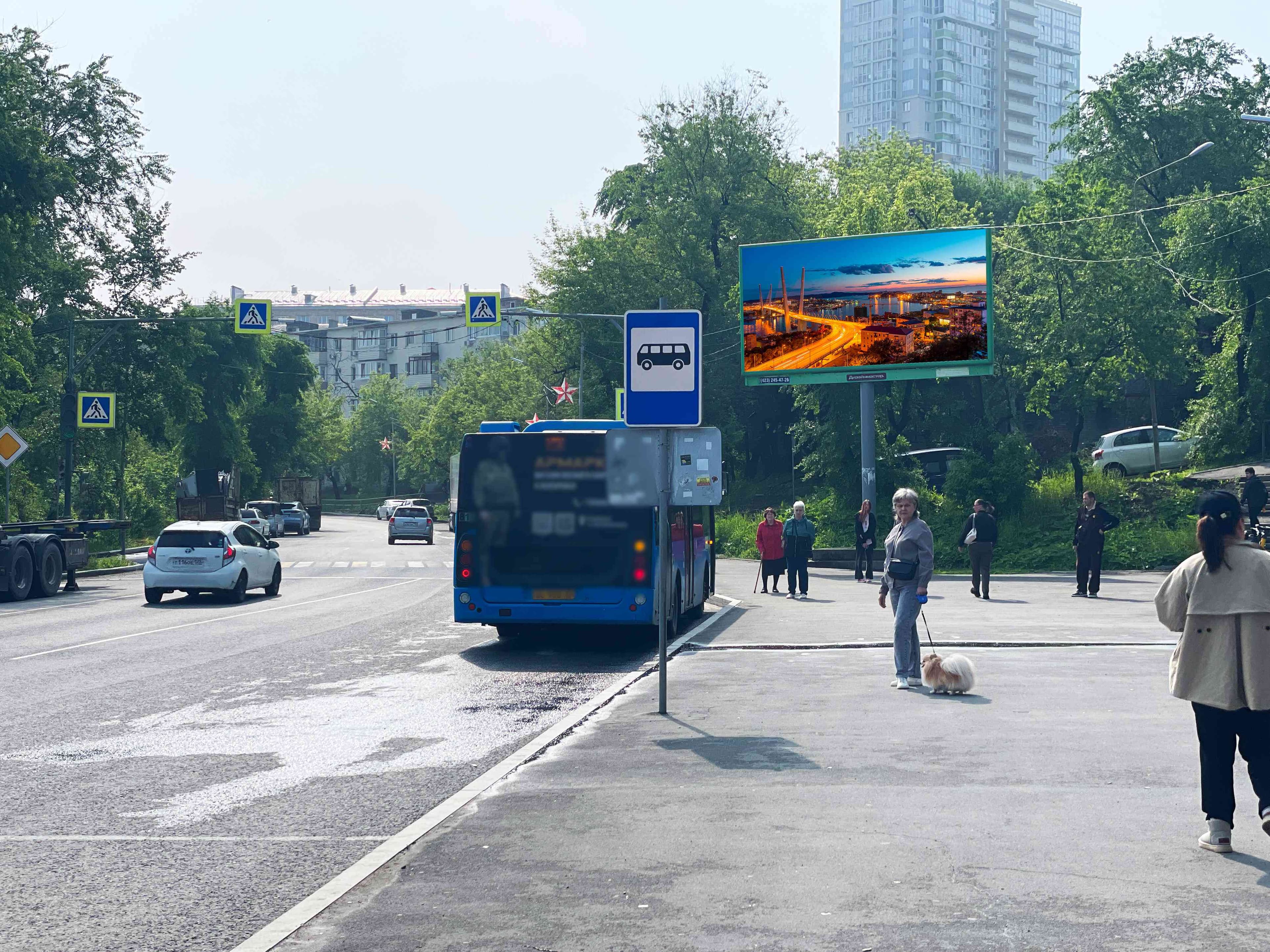 Владивосток. Калинина ул. 55 (ост. "Чайка"), сторона А3