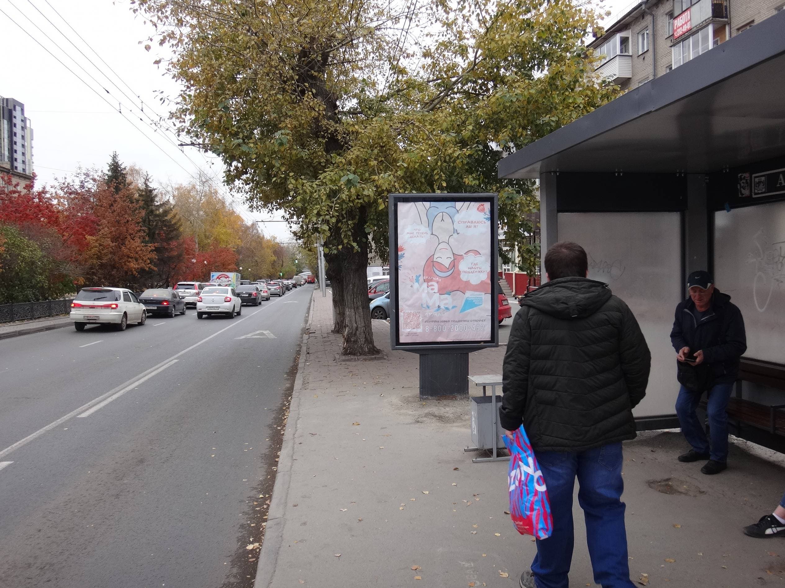 Восход ул., д. 7 (ост. "Аллея Блокадников") (останов.павильон), сторона А Новосибирск. Восход ул., д. 7 (ост. "Аллея Блокадников") (останов.павильон), сторона А