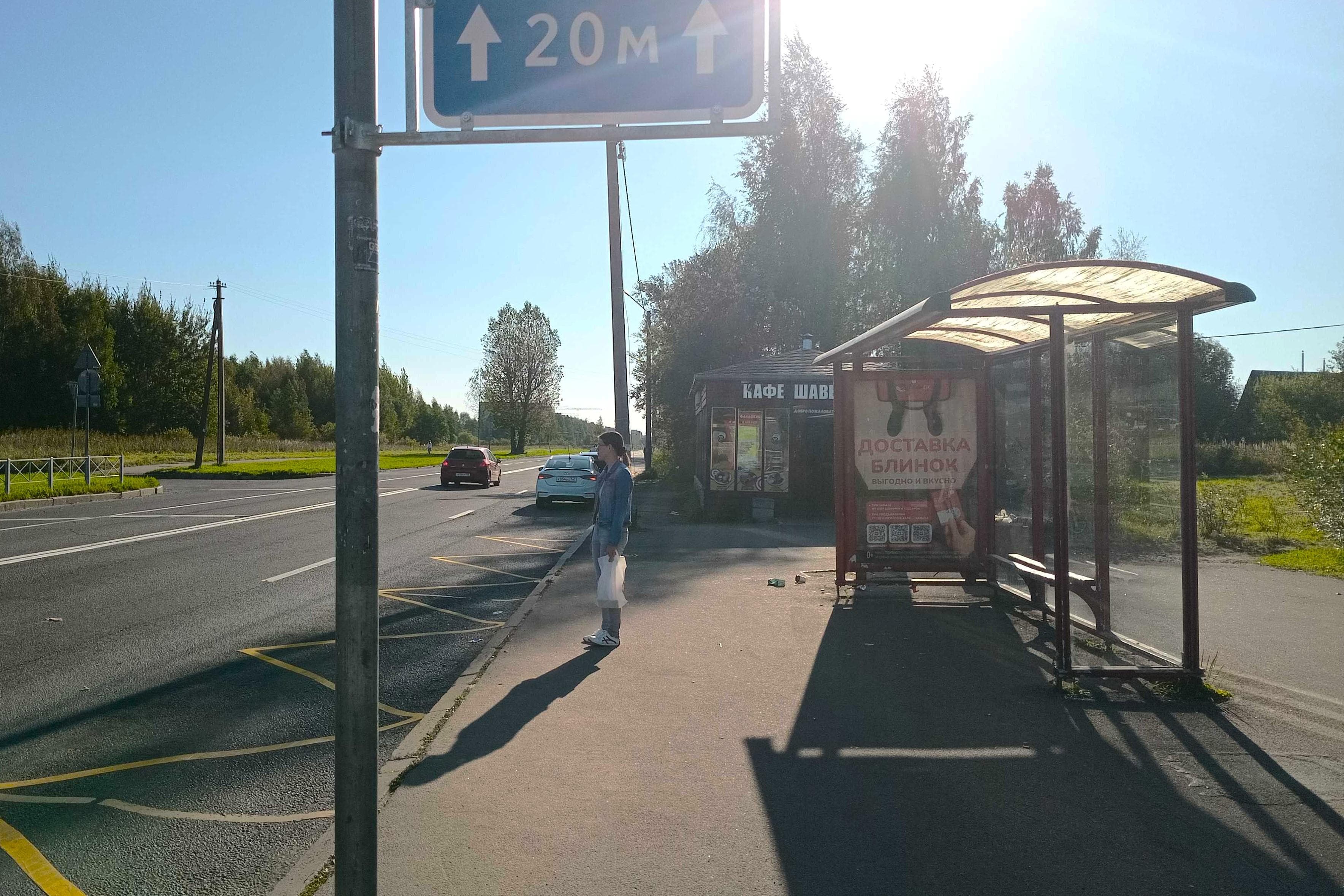 Петродворец МО, Ботаническая ул. 64 - ост. "Ректорский проезд", сторона А Санкт-Петербург. Петродворец МО, Ботаническая ул. 64 - ост. "Ректорский проезд", сторона А